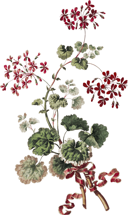 Ornaments